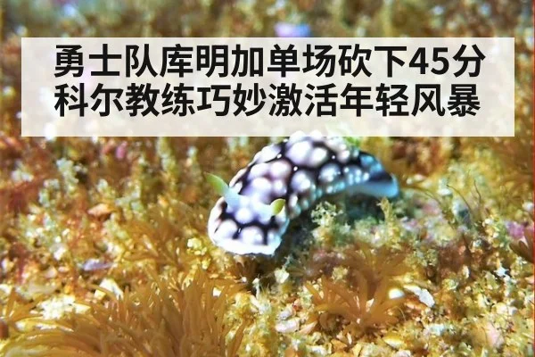 勇士队库明加单场砍下45分科尔教练巧妙激活年轻风暴